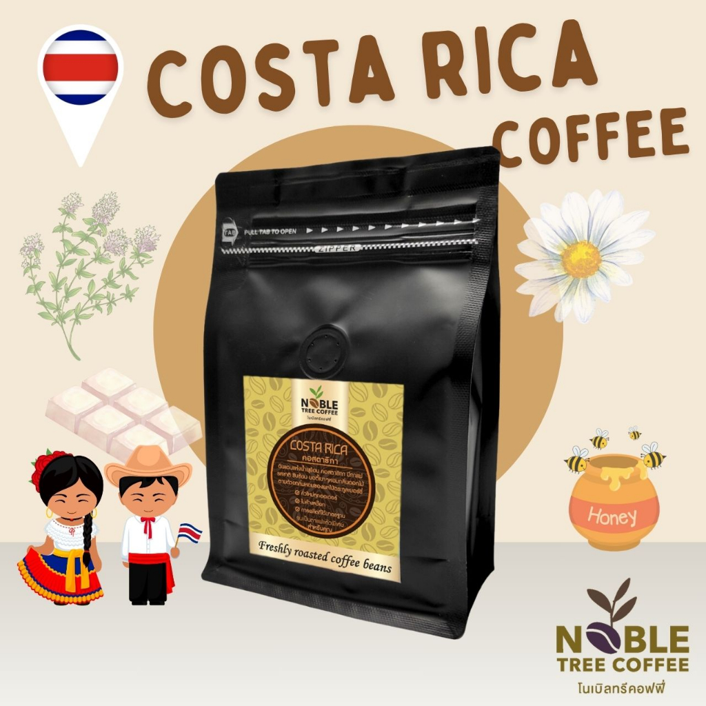 COSTA RICA ENZYME เมล็ดกาแฟ คอสตาริกา