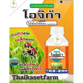 โอจิก้า ขนาด 1,000ซีซี💥ป้องกันเชื้อรา โรคใบไหม้ กาบใบแห้ง