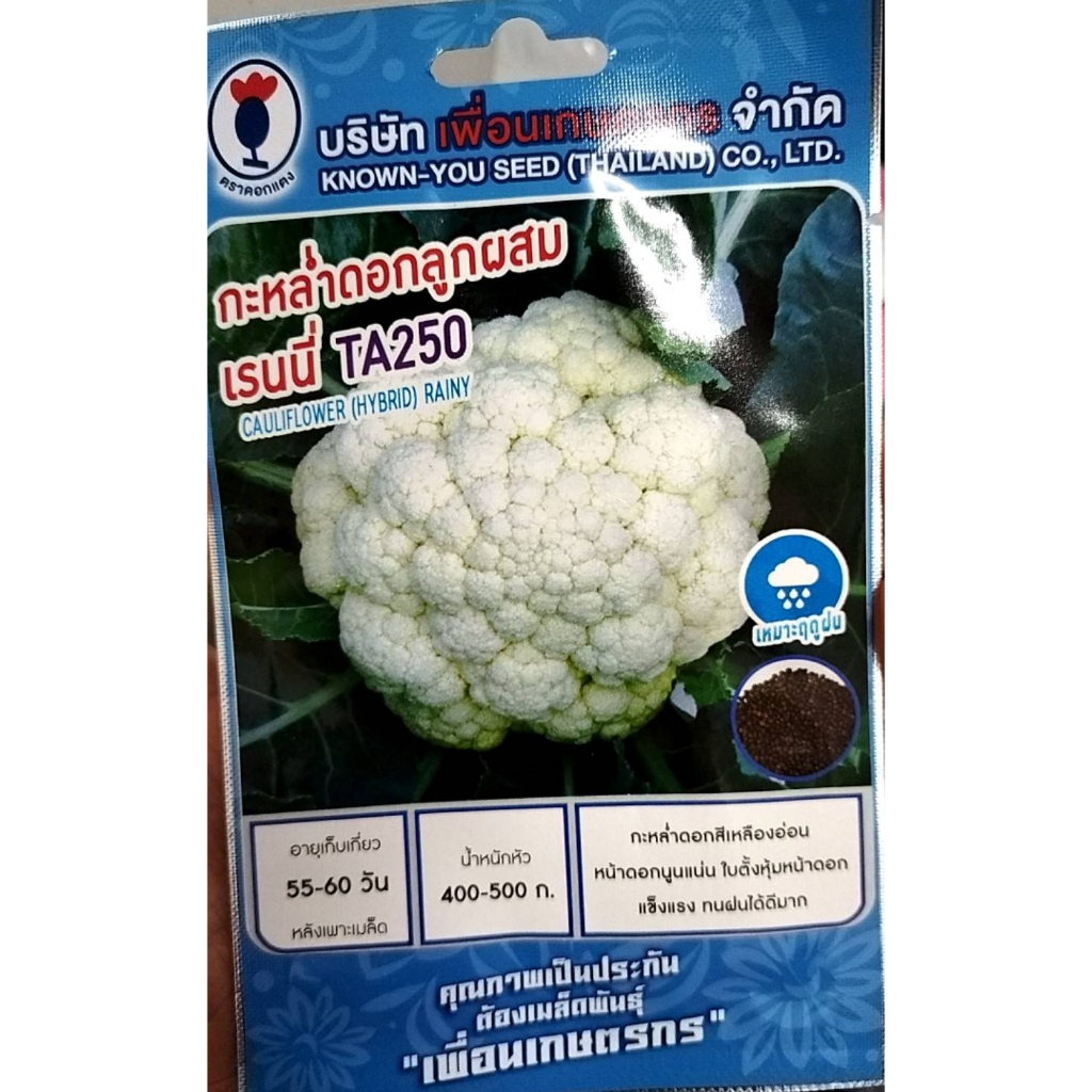 เมล็ดพันธุ์ กะหล่ำดอก กะหล่ำอกลูกผสม เรนนี่ TA250 บรรจุประมาณ 100 เมล็ด อายุเก็บเกี่ยวหลังหยอดเมล็ด 55-60 วัน