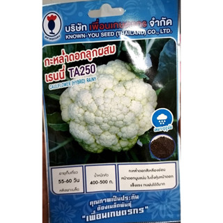 เมล็ดพันธุ์ กะหล่ำดอก🥦 กะหล่ำอกลูกผสม เรนนี่ TA250🥦บรรจุประมาณ 100 เมล็ด อายุเก็บเกี่ยวหลังหยอดเมล็ด 55-60 วัน