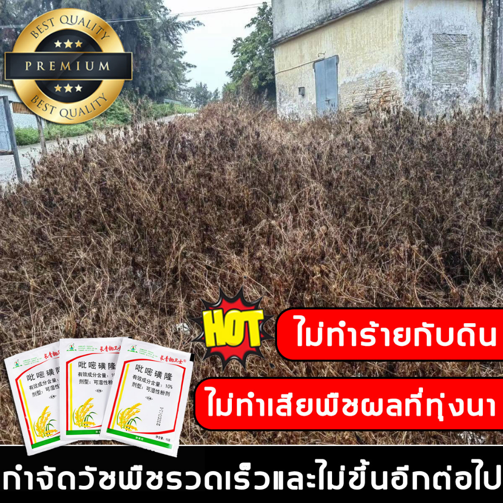 กำจัดวัชพืชในนาข้าวได้ 99% สารกำจัดวัชพืช ยาฆ่าหญ้า ยาฆ่าหญ้าในนาข้าว ใช้กำจัดวัชพืชใบแคบหลังงอก