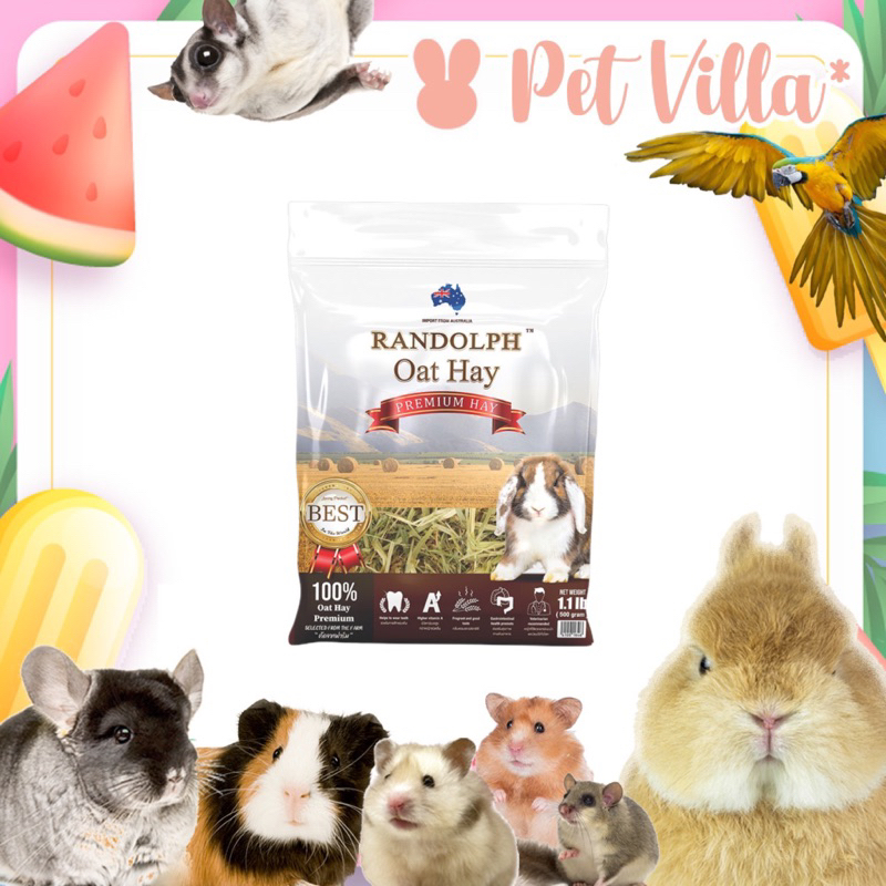 Randolph - Oat Hay หญ้าโอ๊ต 500g.