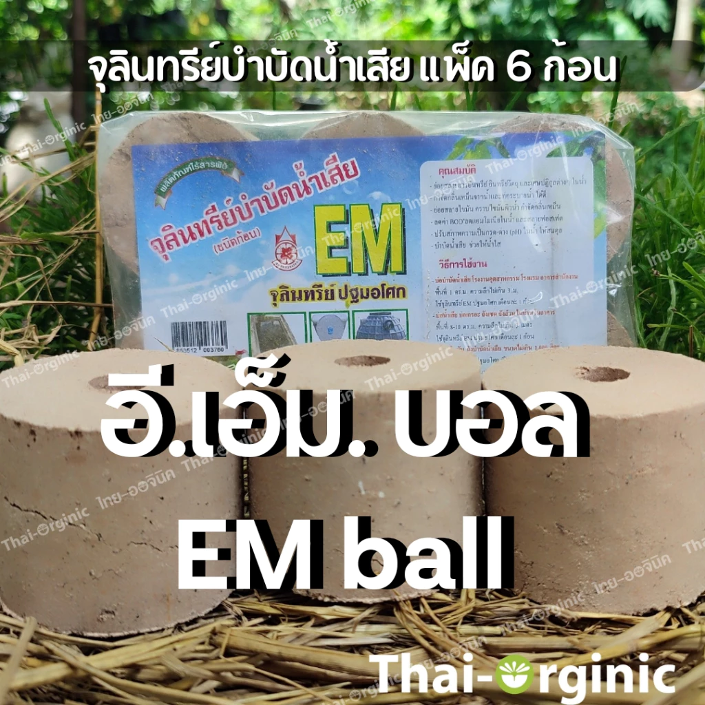 EM ball บำบัดนำเสีย อีเอ็มบอล ปฐมอโศก [แพ็ค6ก้อน] emball จุลินทีย์กำจัดกลิ่น สินค้าล็อตใหม่ล่าสุด