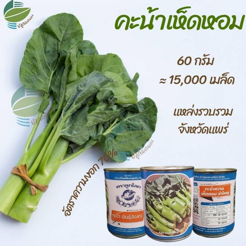 คะน้าเห็ดหอม คะน้าหวาน 60 กรัม
