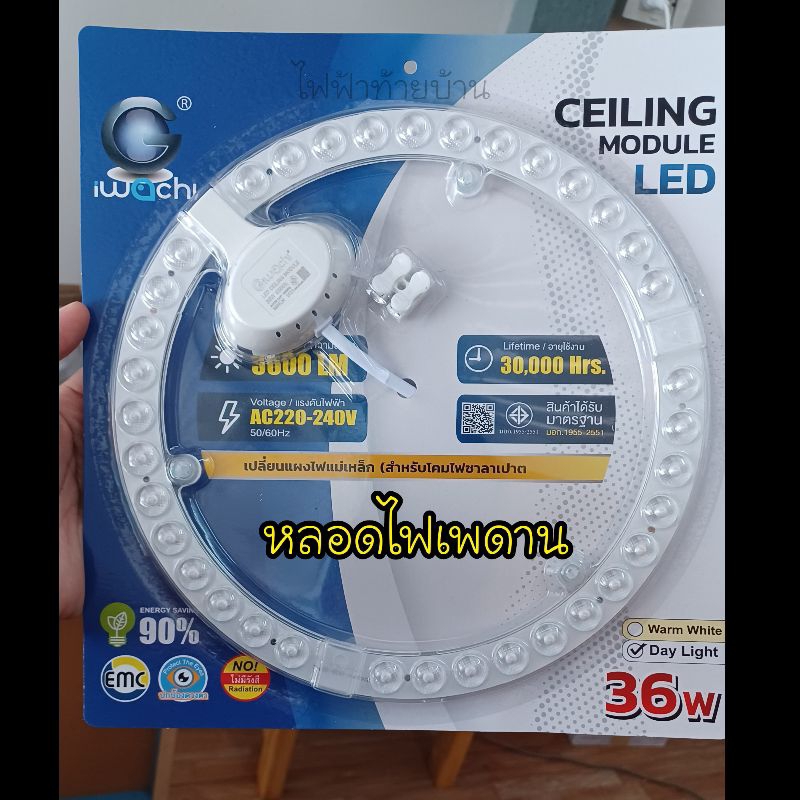 IWACHI หลอดไฟเพดาน 32W LED