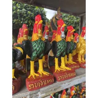 ไก่ชน ไก่แก้บน ไหว้ไอ้ไข่ ไก่พระนเรศวร ไก่พระเจ้าตากสิน ‼️ลิงค์ใหม่ พร้อมส่ง ตั้งไซด์ 10 cm. - 1.2 m. หน้าร้าน นนทบุรี *