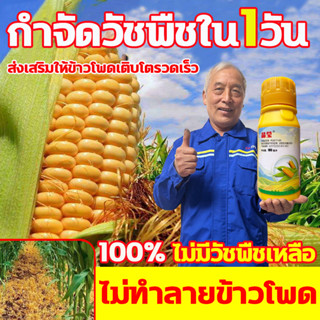 🌽กำจัดวัชพืชใน1วัน🌽 ยาฆ่าหญ้าในข้าวโพด 100g ฆ่าหญ้ารอบข้าวโพด กำจัดวัชพืชเท่านั้น ไม่ทำลายข้าวโพด ยาฆ่าหญ้า