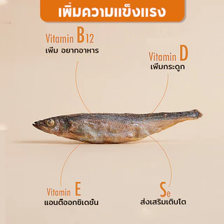 ขนมแมว ปลาแมว ปลาอบแห้งแมว ไม่เติมเกลือ ขนมกินไม่อ้วน ปลอดภัยต่อไต โปรตีนสูงตัว สดใหม่ ขนม สุขภาพ 50 กรัม ขนมแมวฟรีซดรา