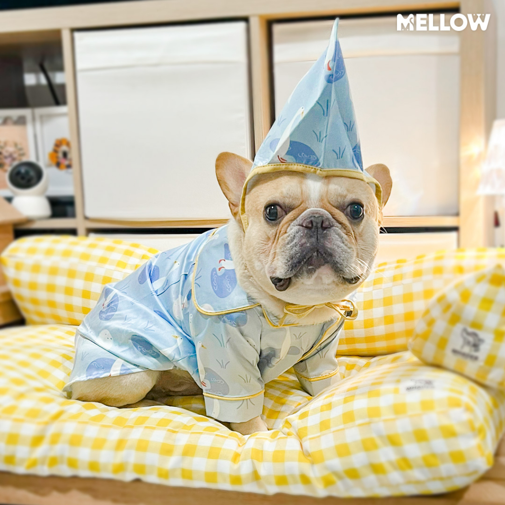 HUMAN DUCK BLUE PAJAMAS