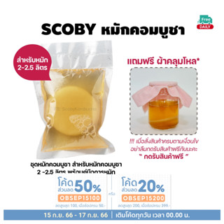 Scoby น้ำตั้งต้น ชาออร์แกนิก หมักแล้วรสกลมกล่อม หอมละมุน พร้อมคำแนะนำ หมักคอมบูชาได้ 2 ลิตร