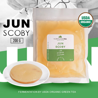 Northlandtea - Organic Jun SCOBY &amp; Culture Starter 200 ml - สโคบี้หัวเชื้อ พร้อมน้ำตั้งต้น ออร์แกนิคแท้  100%