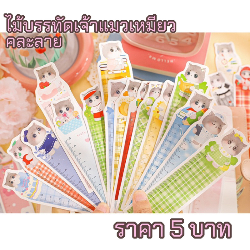 สินค้าพร้อมส่ง ไม้บรรทัดเจ้าแมวเหมียว (คละลาย)