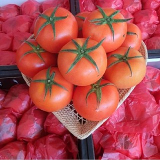 🍅มะเขือเทศเนื้อ (1kg) มะเขือเทศนำเข้า ลูกใหญ่ สดอร่อย