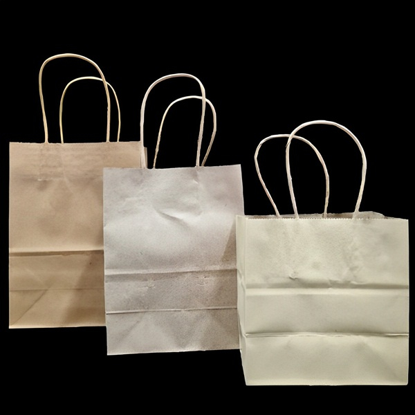 (1 ใบ) ถุงกระดาษพร้อมหูหิ้วแบบเกลียว