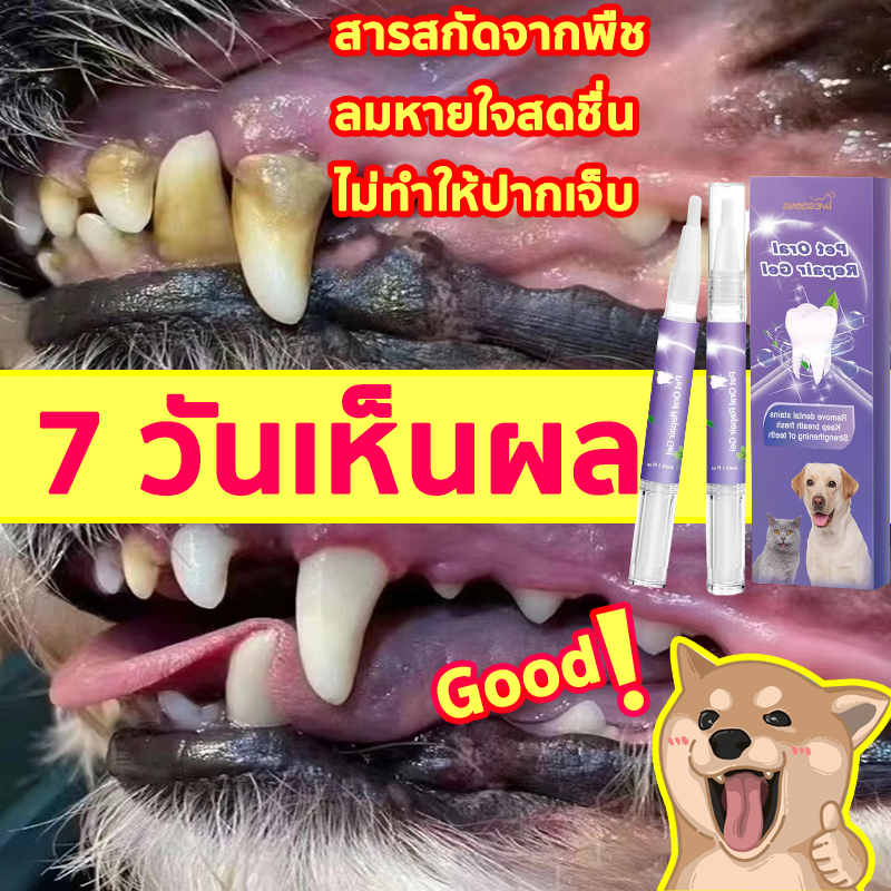 น้ำยาบ้วนปากสัตว์เลี้ยง น้ำยาล้างคราบหินปูนสำหรับสัตวเลี้ยง อุปกรณ์สัตว์เลี้ยง ยาสีฟันสัตว์เลี้ยง น้ำยาดับกลิ่นปากแมว