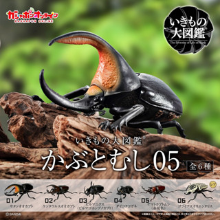 (ครบชุดพร้อมส่ง) กาชาปองด้วง Gashapon Bandai Kuwagata Hercules Beetle Action Vol.05 โมเดลสัตว์