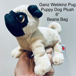 #ตุ๊กตา #หมาปั๊ก Ganz Webkinz Pug Puppy Dog Plush Beans Bag ขนาด6นิ้ว งานสวย ขนนุ่ม น่ารักสุดๆ #ลิขสิทธิ์แท้ สภาพ98%