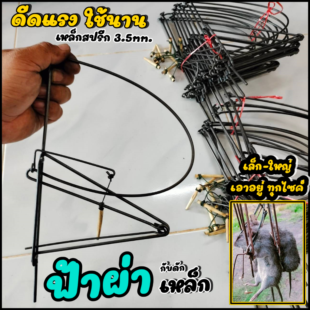 โปร ลดราคา พิเศษ ฟ้าผ่า ฟ้าลั่น เหยียบสับแรง อยู่ทุกตัว ดักหนู พังพอน (ใช้ง่าย ได้ผลดี)