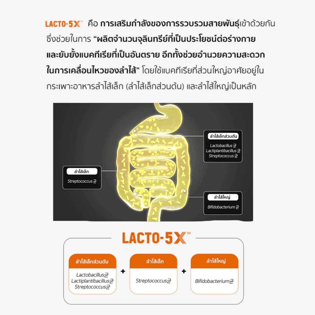 Lacto-Fit Probiotic GOLD (80 ซอง)โพรไบโอติกส์ แลคโตะฟิต สูตรใหม่ อาหารเสริมเพื่อสุขภาพ ดีท็อกซ์ลำไส้ thumbnail 4
