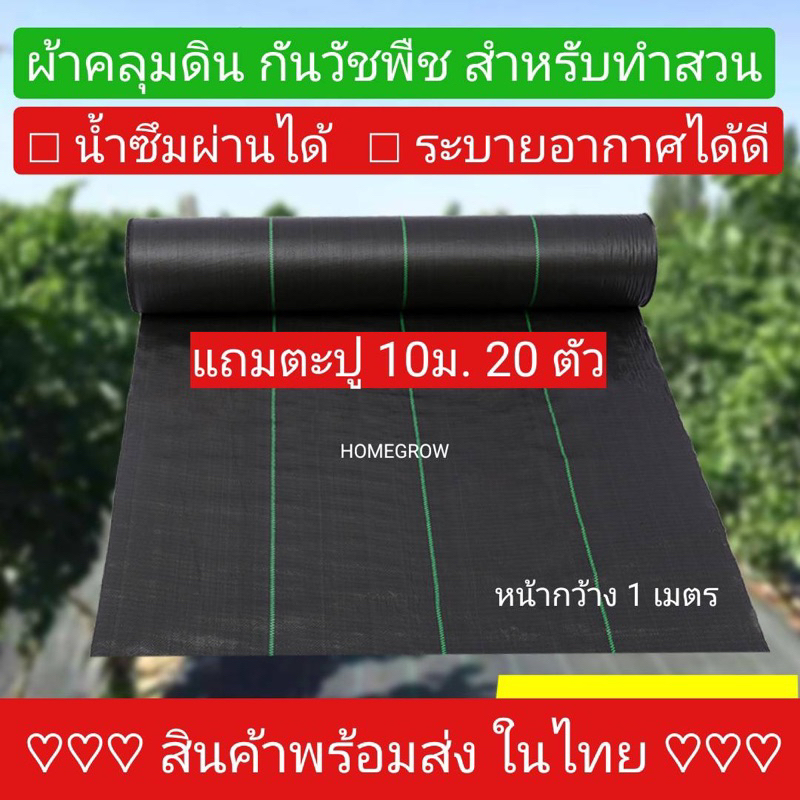 ผ้าคลุมดิน 10เมตร แบบไม่เจาะรู และ แบบเจาะรู ผ้าคลุมหญ้า ฆ่าหญ้า ฆ่าวัชพืช กำจัดหญ้า วัชพืช