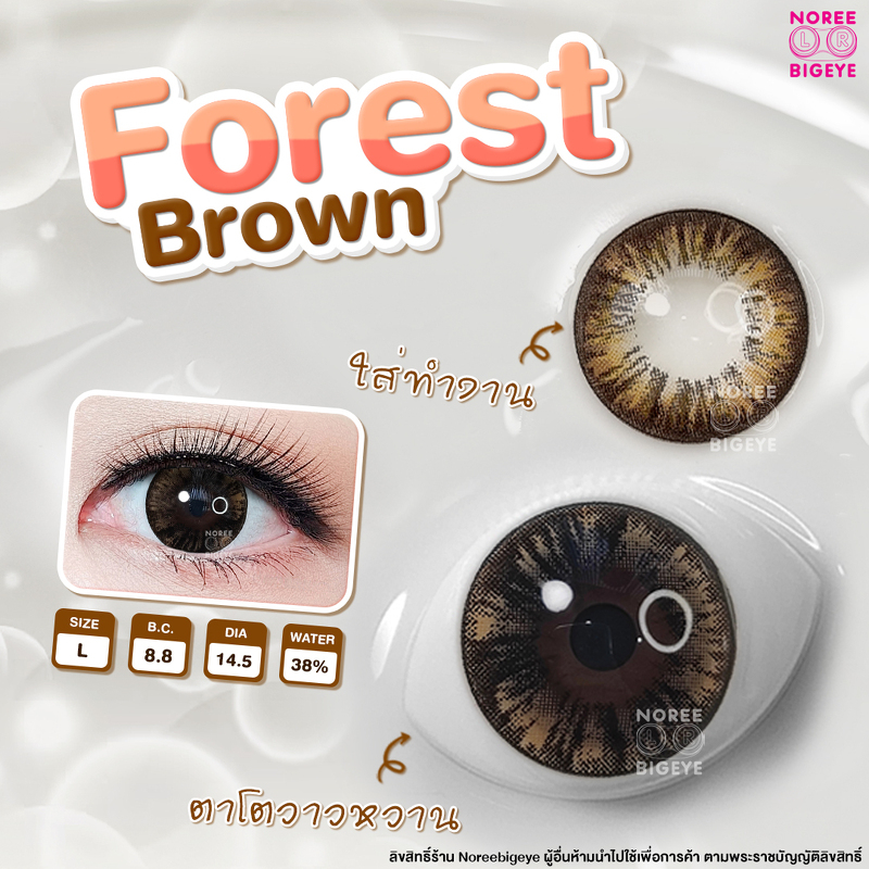 Forest Brown/สีน้ำตาล [สายตาสั้น -0.00 ถึง -10.00] Size Bigeye (L) ขนาดใหญ่ / คอนแทคเลนส์  / ยี่ห้อ 