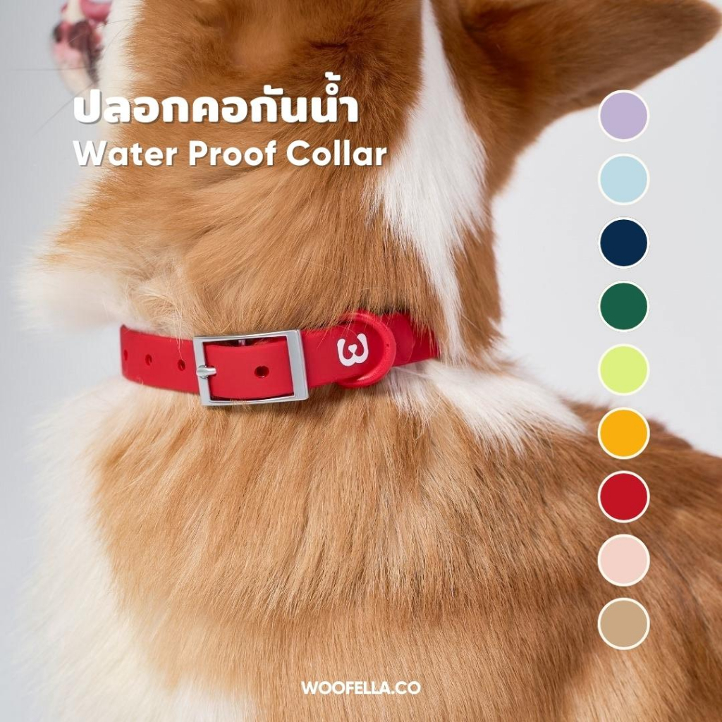 Woofella Collar ปลอกคอกันน้ำ ปลอกคอสุนัข ปลอกคอ