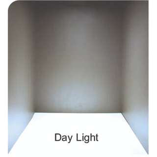 Lamptan หลอดนีออนกลม Circular Fluorescent Lamp 32W แสง Daylight รุ่นมาตรฐาน (HALO-PHOSPHOR)