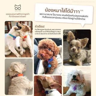 ปลอกคอแมวนิรภัย ยางยืด รุ่น Safe & Soft : เซตสีชมพูเข้ม