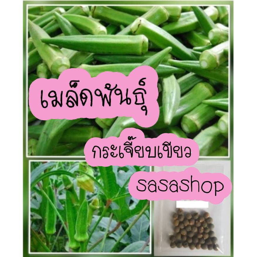 เมล็ดพันธ์กระเจี๊ยบเขียว40เมล็ด

<p>“><center></p>
<h4></h4>
<p><p><font color=