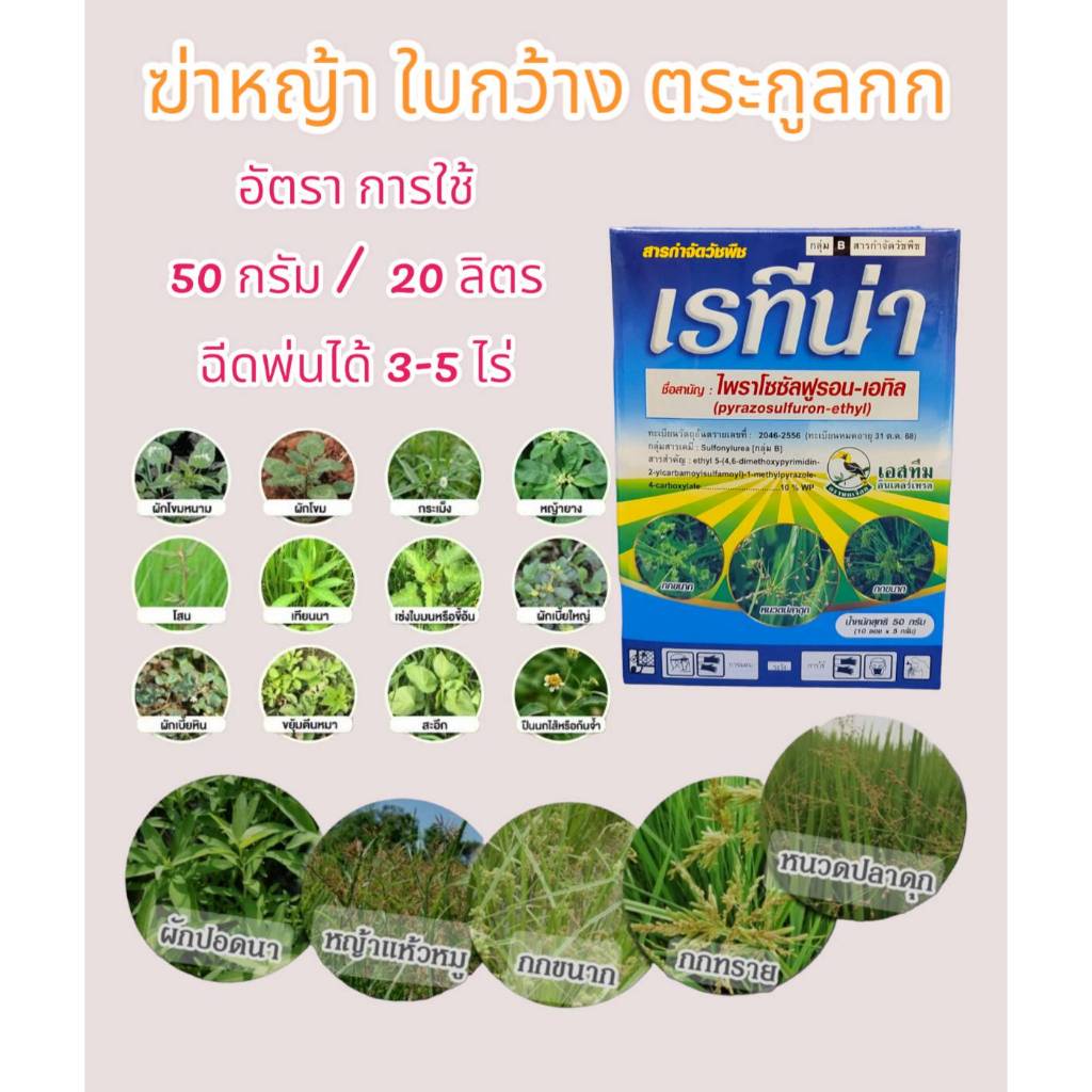 ฆ่าหญ้า หญ้าใบกว้าง หญ้าสนาม สนามกอล์ฟ ใบกว้างนาข้าว กกทราย หนวดปลาดุก ผักปอดนา เรทีน่า