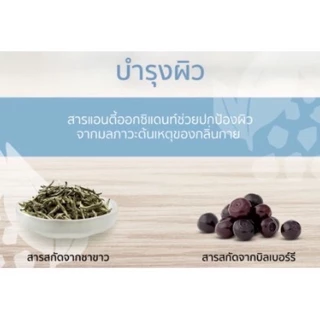 【Freeship】💥ลูกกลิ้งแอมเวย์ แอมเวย์ Amway G&H แอมเวย์ ลูกกลิ้งระงับเหงื่อและกลิ่นกาย 100ml.