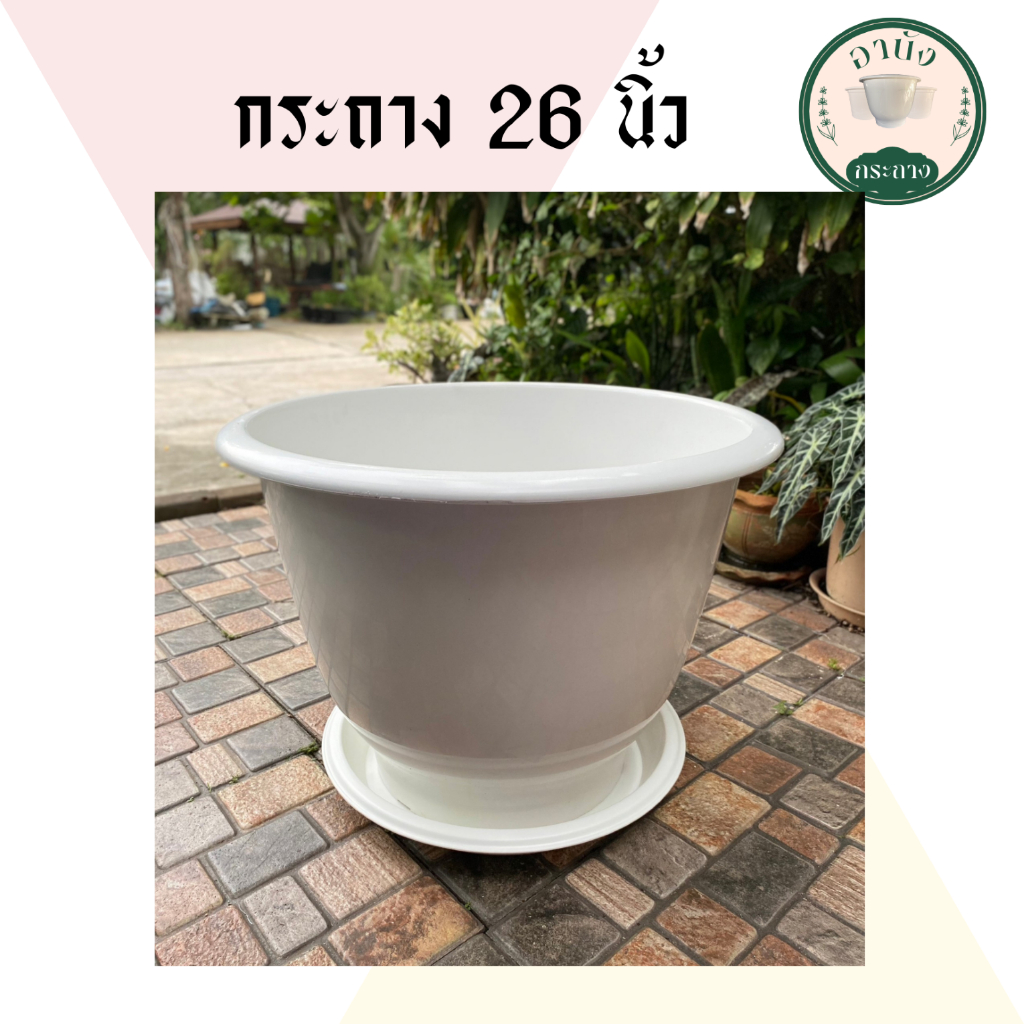 กระถาง 26 นิ้ว กระถางใบใหญ่