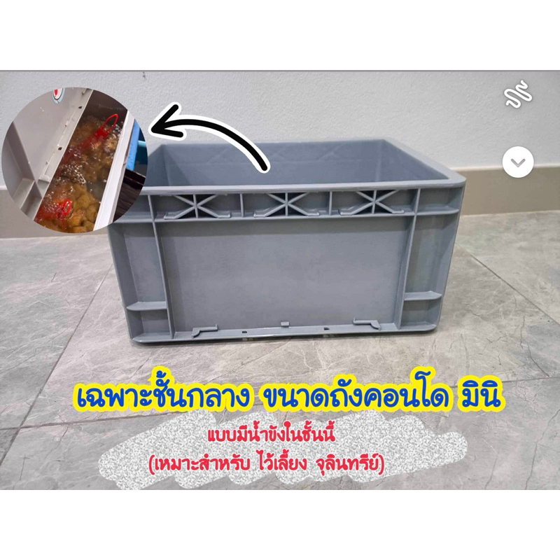 ชั้นกลาง (ชั้นกรองเสริมถังกรองคอนโด )(ชุดกรอง) (ขนาดจิ๋ว และบอลลูน มีสีดำด้วย หากต้องการสีดำทักบอกแอดมินนะคะ)