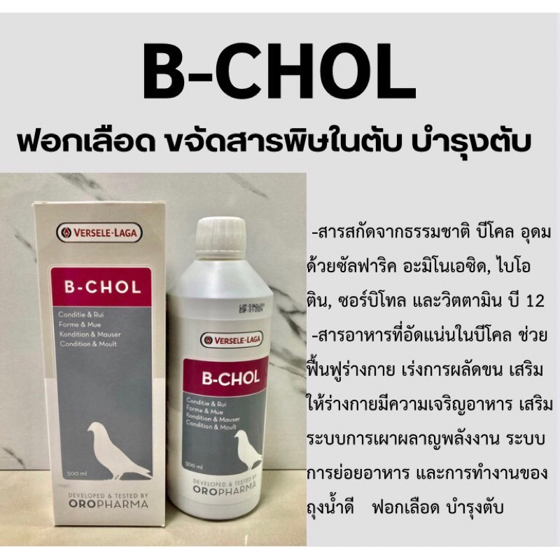 B CHOL วิตามินฟอกเลือด ขจัดสารพิษในตับ บำรุงตับ แบ่ง 50 ml
