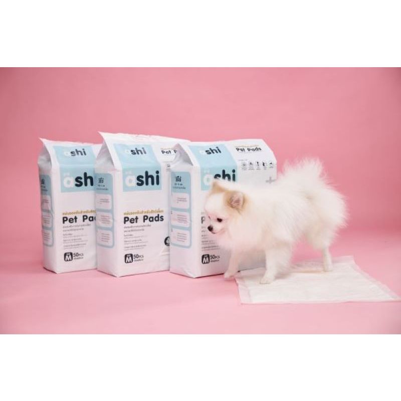 แผ่นรองฉี่สุนัข Ashi Pet Pads แผ่นรองซับ สัตว์เลี้ยง รูปที่ 3