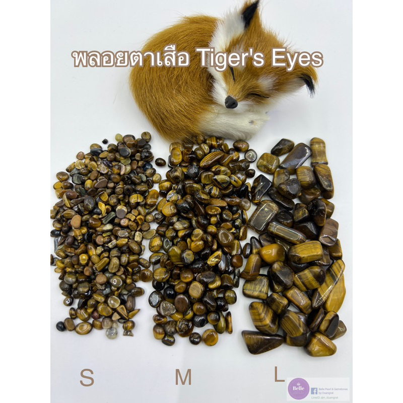 พลอยตาเสือ Tiger's Eye tumbled เศษหินขัดเงา หินมงคล หินนำโชค หินตู้ปลา หินใส่ขวด กระถางธูปห้องพระ คริสตัลขัดเงา สวนถาด