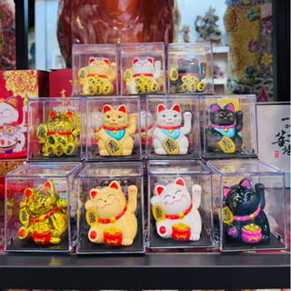 แมวกวักนำโชค แมวกวักญี่ปุ่น พร้อมกล่องอะคริลิค กวักแขนได้ ช่…