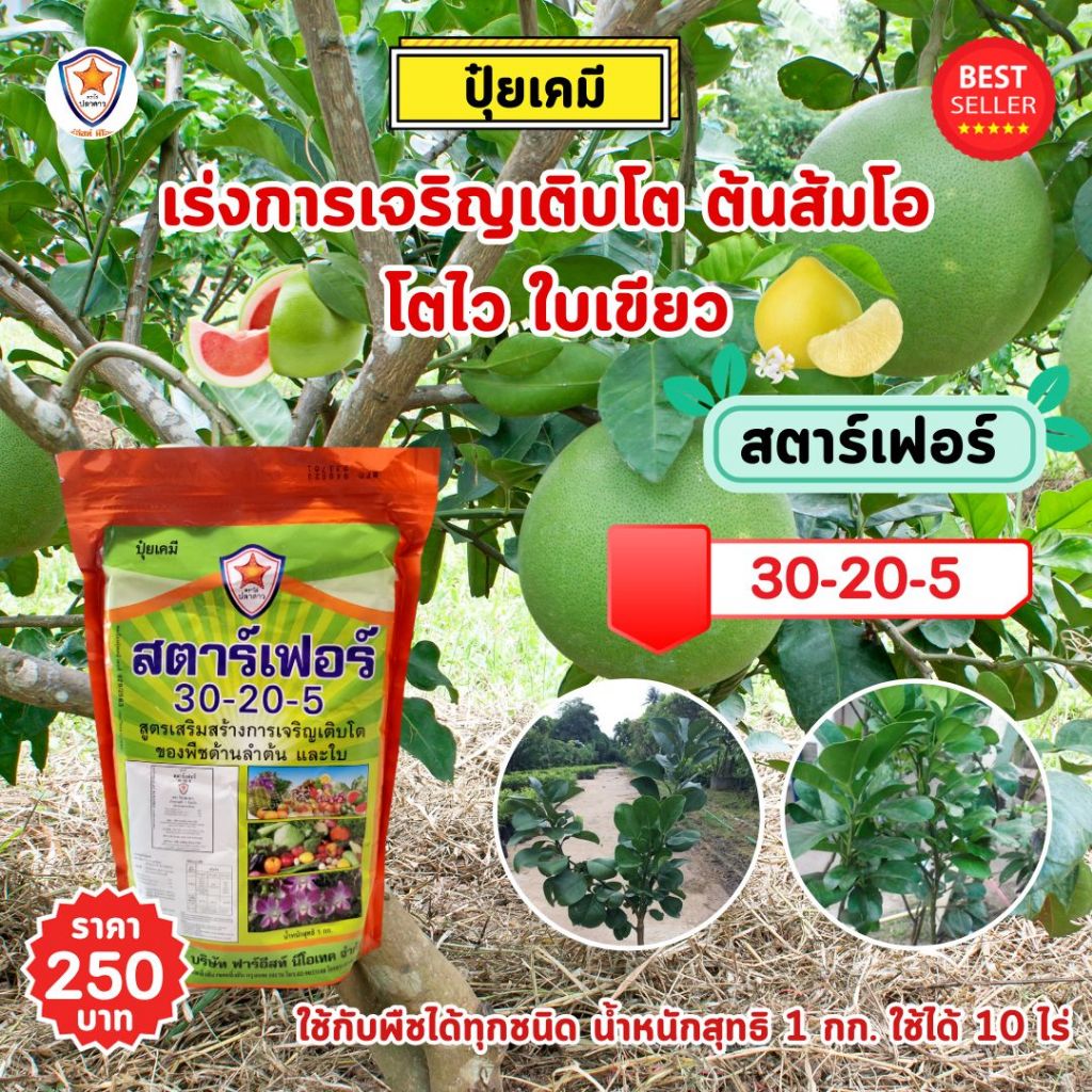 ปุ๋ย ฉีดพ่น ต้นส้มโอ โตไว ใบเขียว เร่งราก เร่งดอก ฝักใหญ่ ดกเต็มต้น น้ำหนักดี เพิ่มผลผลิต โดย สตาร์เฟอร์