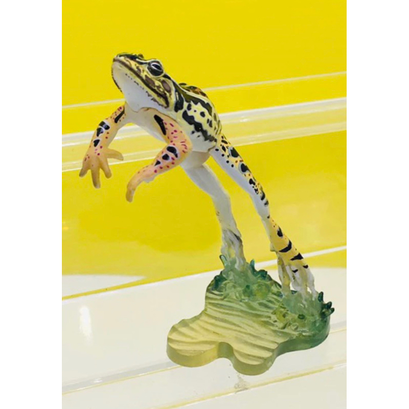 (แท้/มือ2) KAIYODO YUJIN Japan Exclusive Daruma Pond Frog Secret SP Jumping Animal Figure กบกระโดด พร้อมส่งค่ะ
