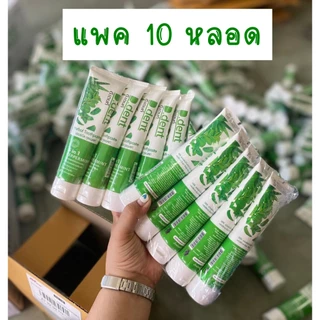 (แพค 10หลอด) D.Dent ดีเดนท์ ยาสีฟันสมุนไพร ขนาด 100 กรัม