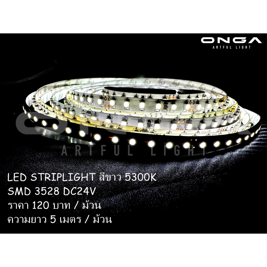LED STRIPLIGHT สีขาว 5300K SMD 3528 DC24V
