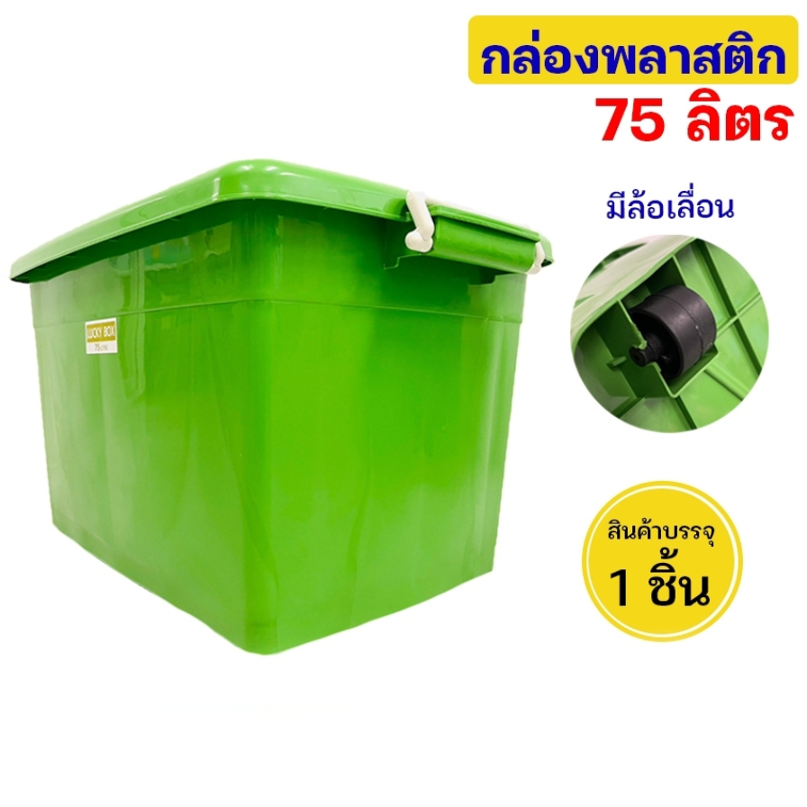 รูปภาพ 8