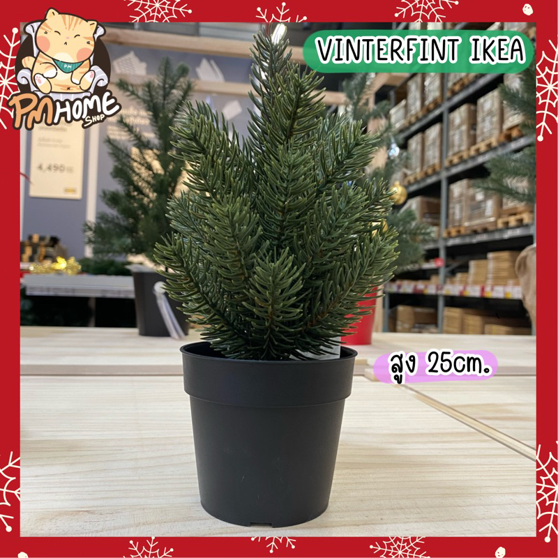 ต้นสน ต้นคริสต์มาส เหมือนจริงมาก VINTERFINT ต้นสน ของแต่งบ้าน Christmas tree ตกแต่งคริสต์มาส