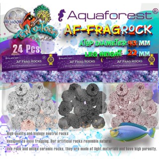 Reef-aholic Aquaforest AF Frag Rocks 24 ฐานแฟรกแบบหรูหรา ต้อ…