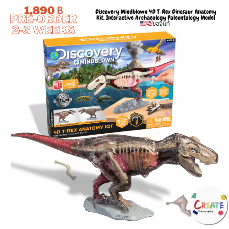 พรีออเดอร์ 2-3 วีค นะคะ Discovery Mindblown 4D T-Rex Dinosaur Anatomy Kit, Interactive Archaeology Paleontology Model