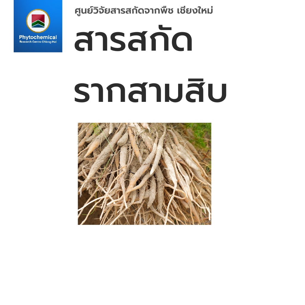 สารสกัดรากสามสิบ(แบบน้ำ)