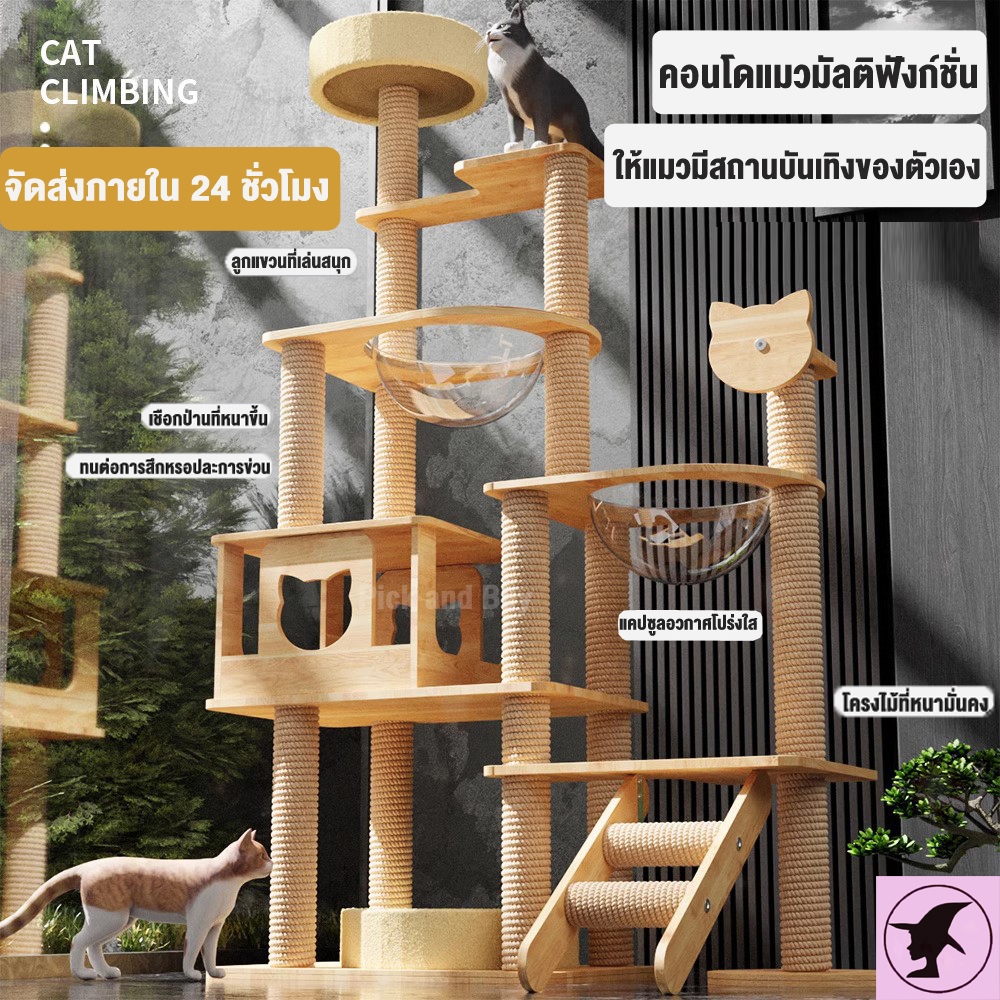คอนโดแมว หลังใหญ่หลายดีไซน์ คอนโดไม้ เตียงแมว ที่ลับเล็บแมว พร้อมโดมนอนแบบใสและบันได เสาลับเล็บทั้งต้น