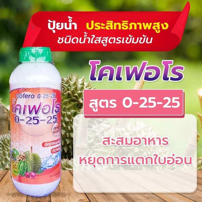 ปุ๋ยน้ำโคเฟคโร สูตร 0-25-25สะสมอาหารหยุดการแตกใบอ่อน