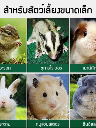 yugogo🐾โฟมซักแห้งหนูแฮมสเตอร์ ต้านเชื้อแบคทีเรีย ขนนุ่มสลวย สำหรับสัตว์เลี้ยงขนาดเล็ก 150ml ไม่ต้องล้างน้ำ