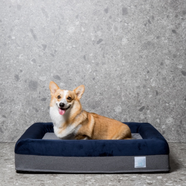 (เฉพาะ)ปลอกที่นอนสัตว์เลี้ยง สี The Starry Night (Navy-Grey) - Pet Bed Cover Size M